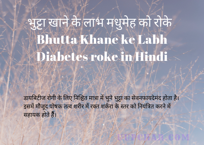 Bhutta Khane ke Labh Diabetes roke in Hindi