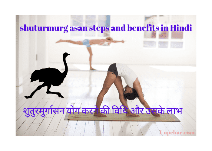 शुतुरमुर्गासन योग करने की विधि और उसके लाभ - shuturmurg asan steps and benefits in Hindi